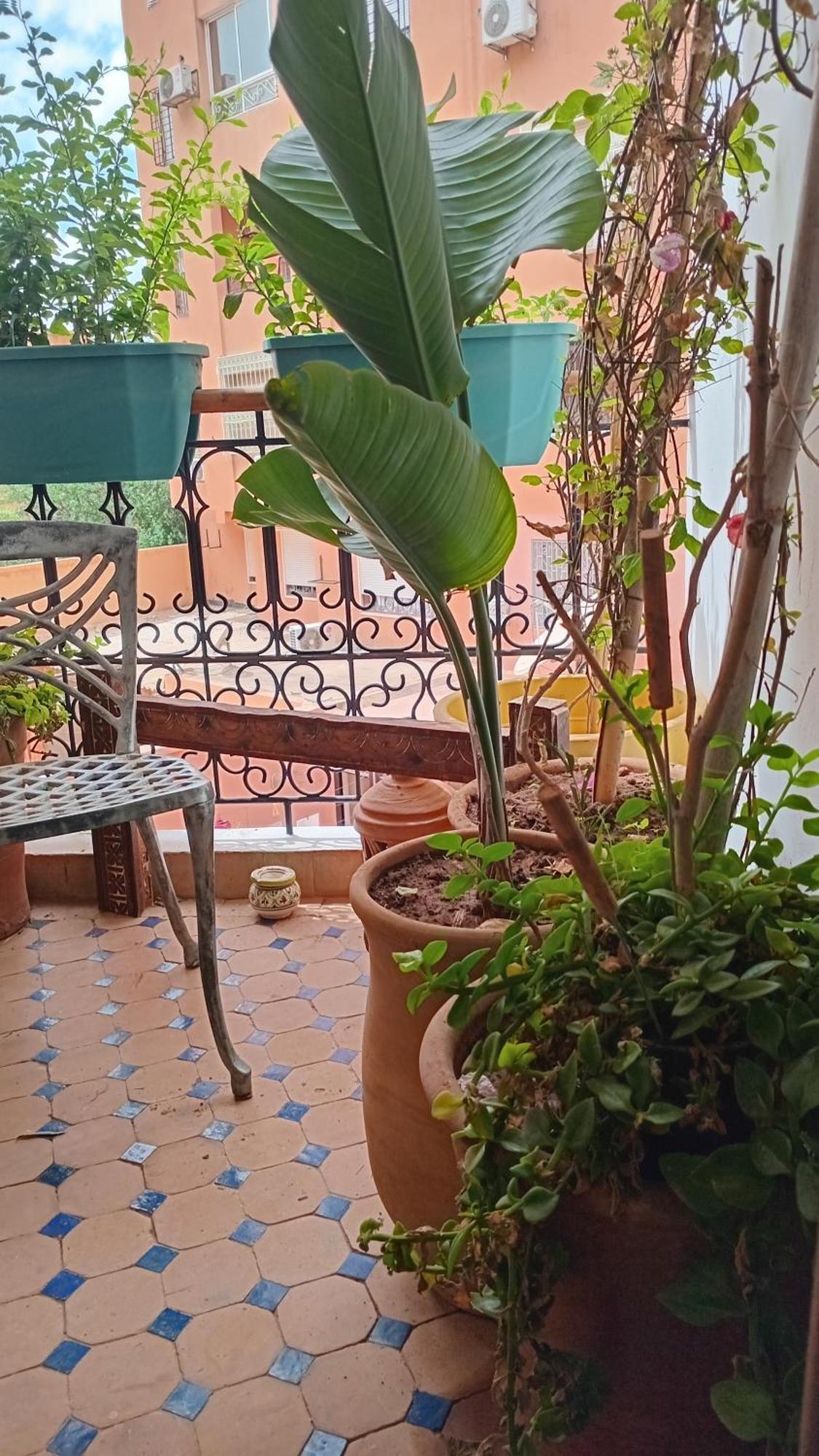 Coeur De Marrakech Majorelle 2ch Parking